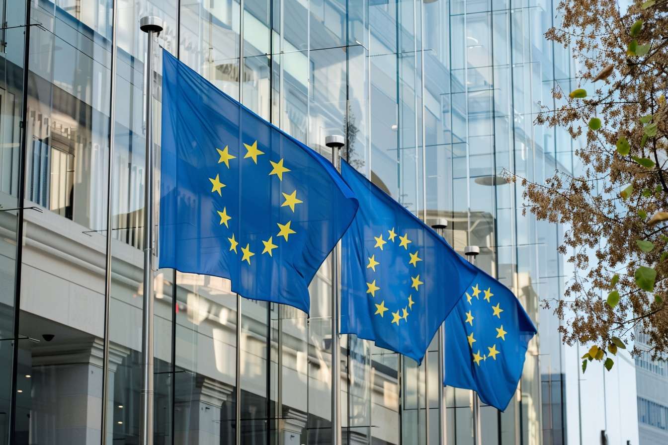 Image d'illustration. Europe drapeaux